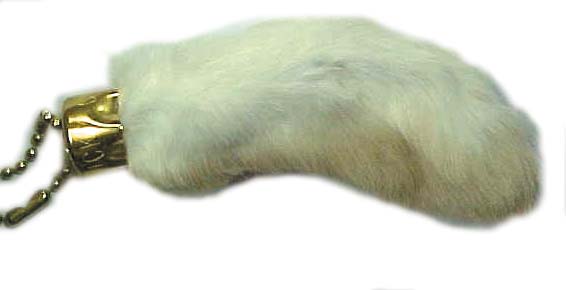 rabbit foot2