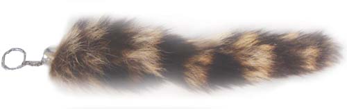 raccoon tail