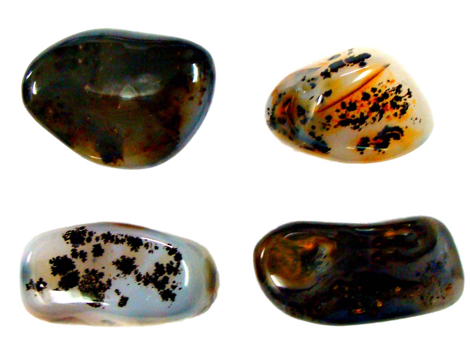 AGATE GALLET_clipped_rev_1_1