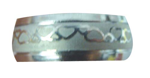 stainless ring 2