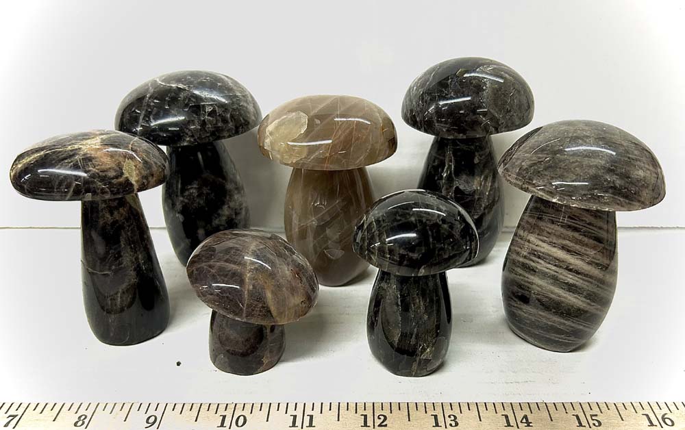 black moonstone mushroom 25