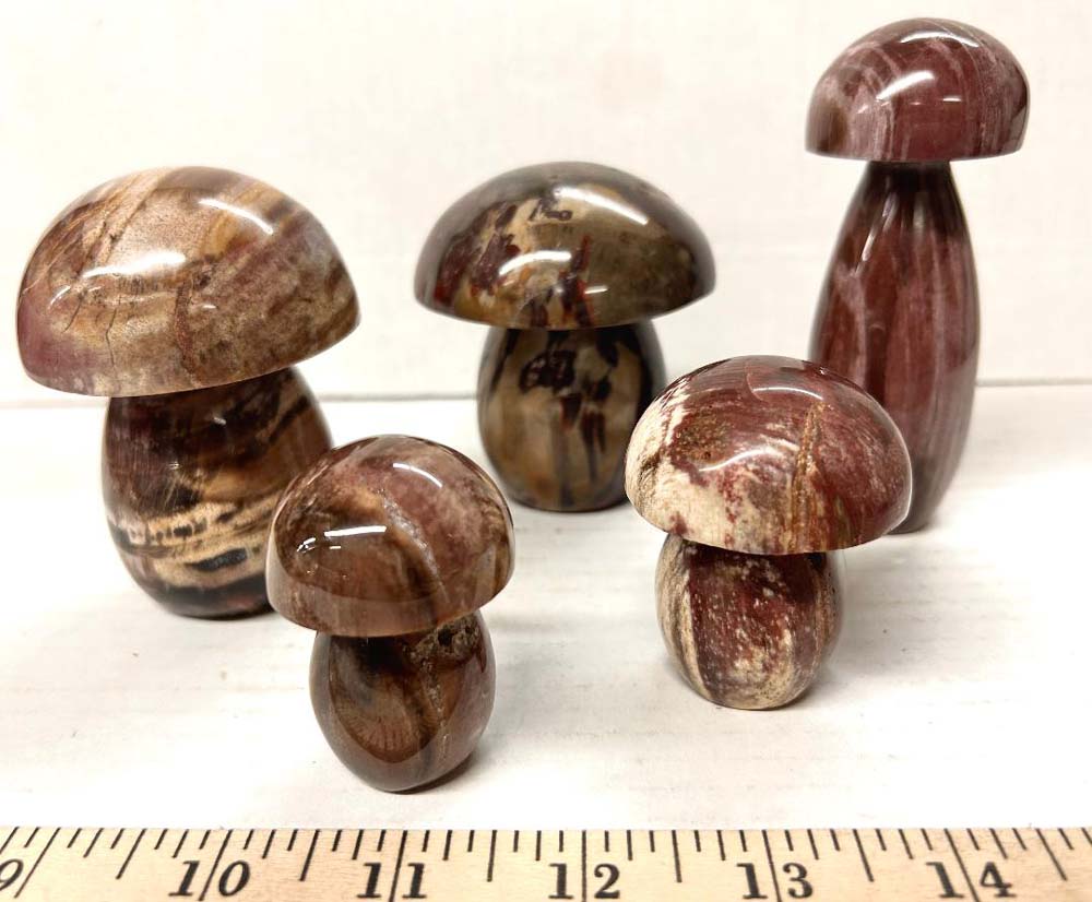 petrified wood mushroom 25