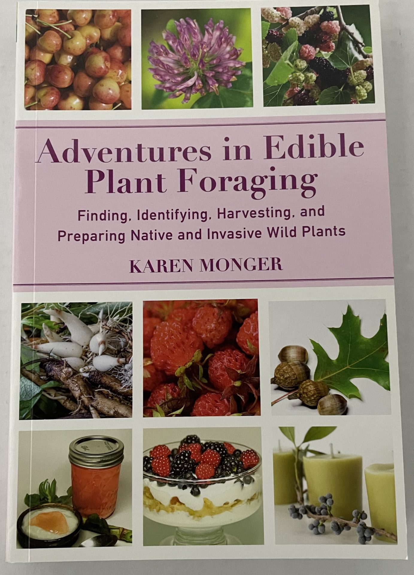 ADVENTURES IN EDIBLE PLANT FORAGING FRONT