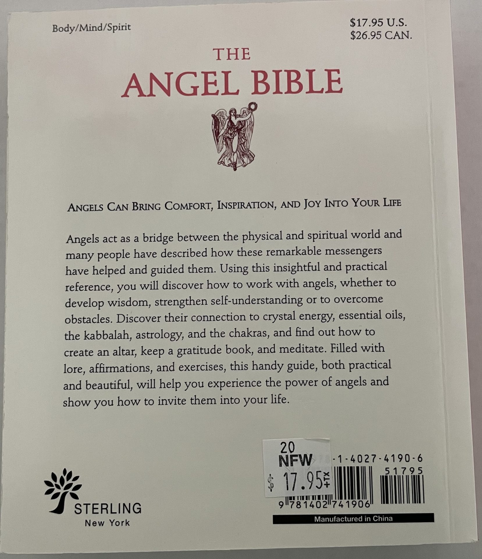 ANGEL BIBLE BACK