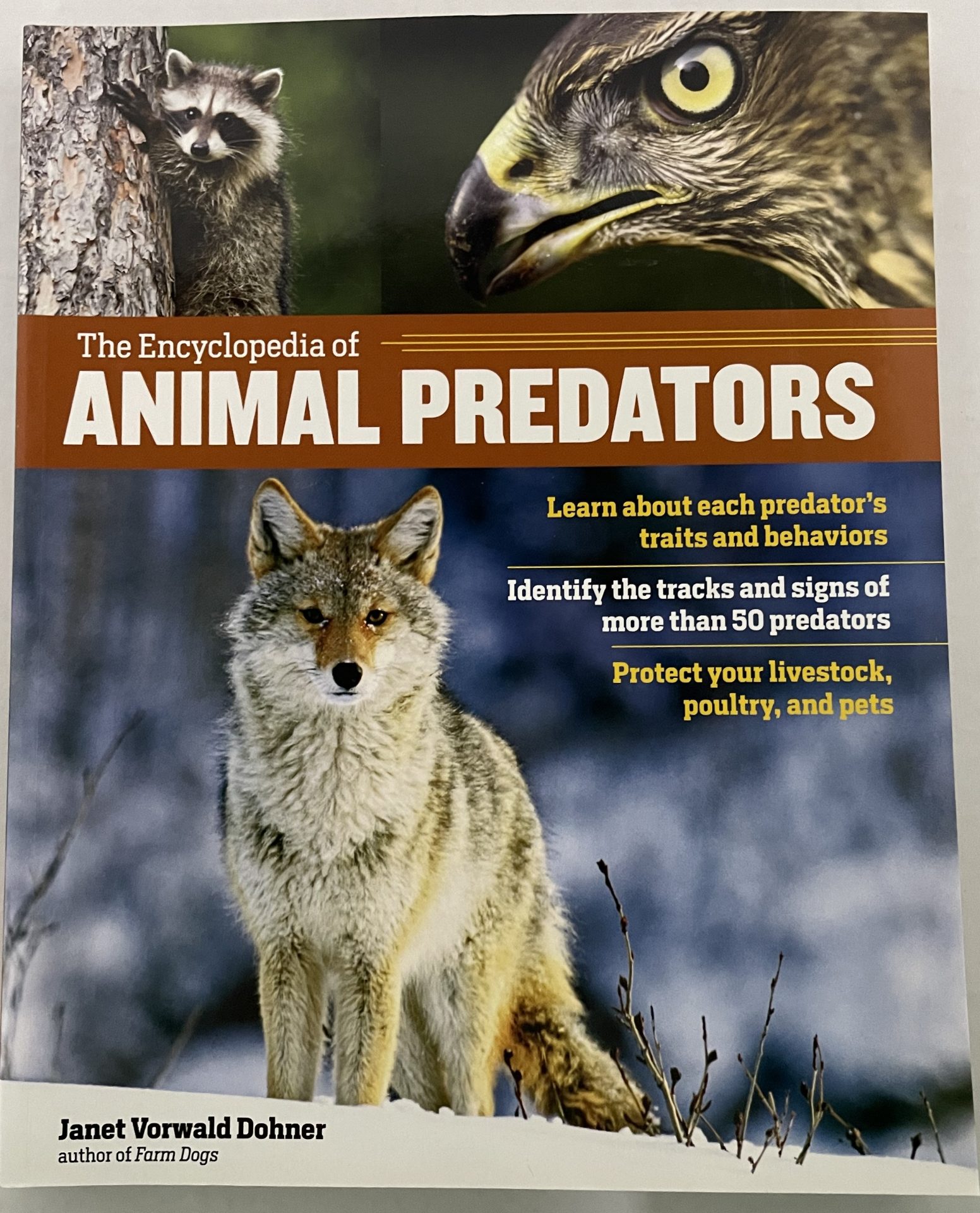 ANIMAL PREDATORS FRONT