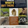 ANIMALS PREDATORS BACK