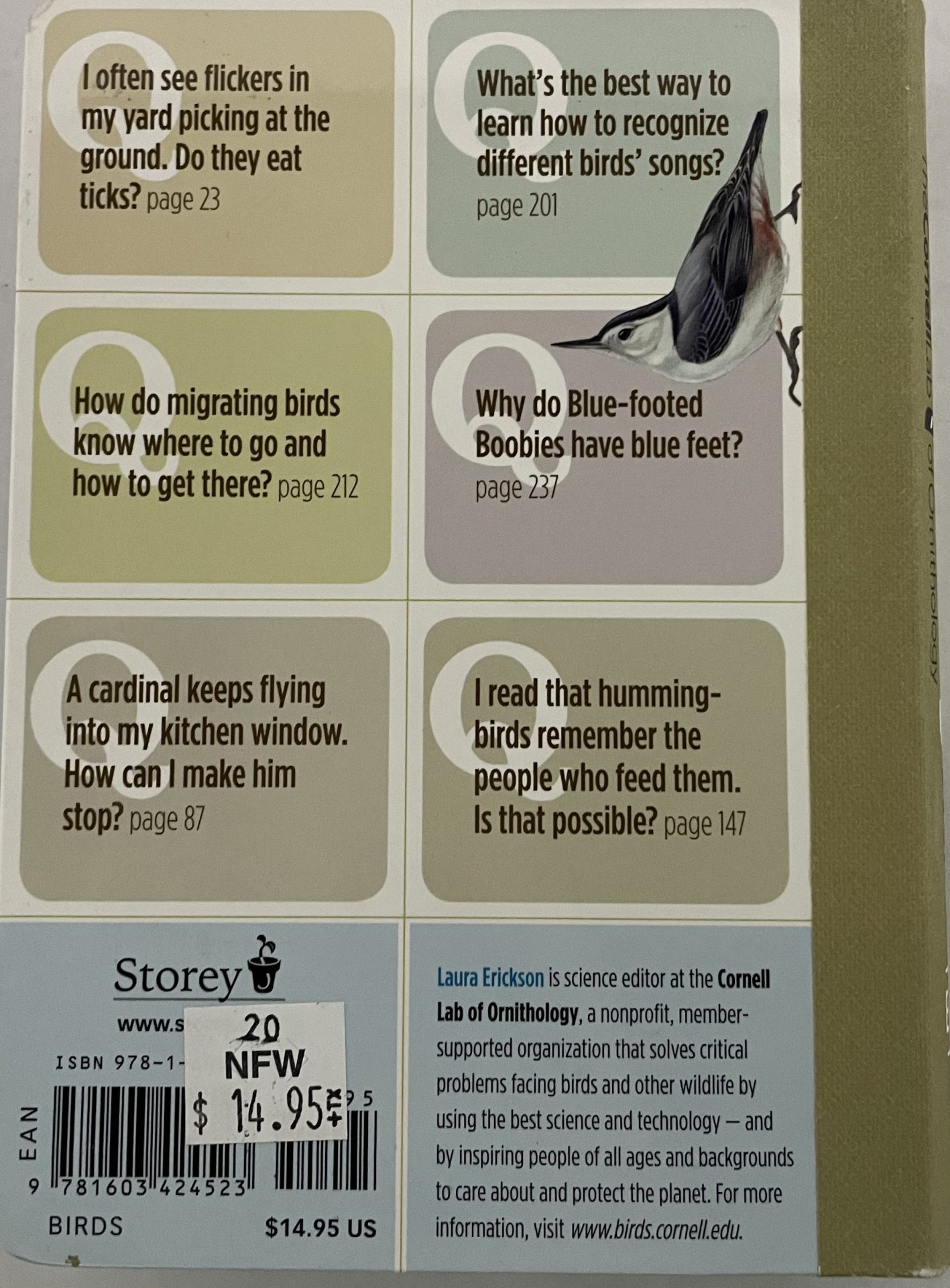 BIRD WATCHING ANSWER BOOK BACK