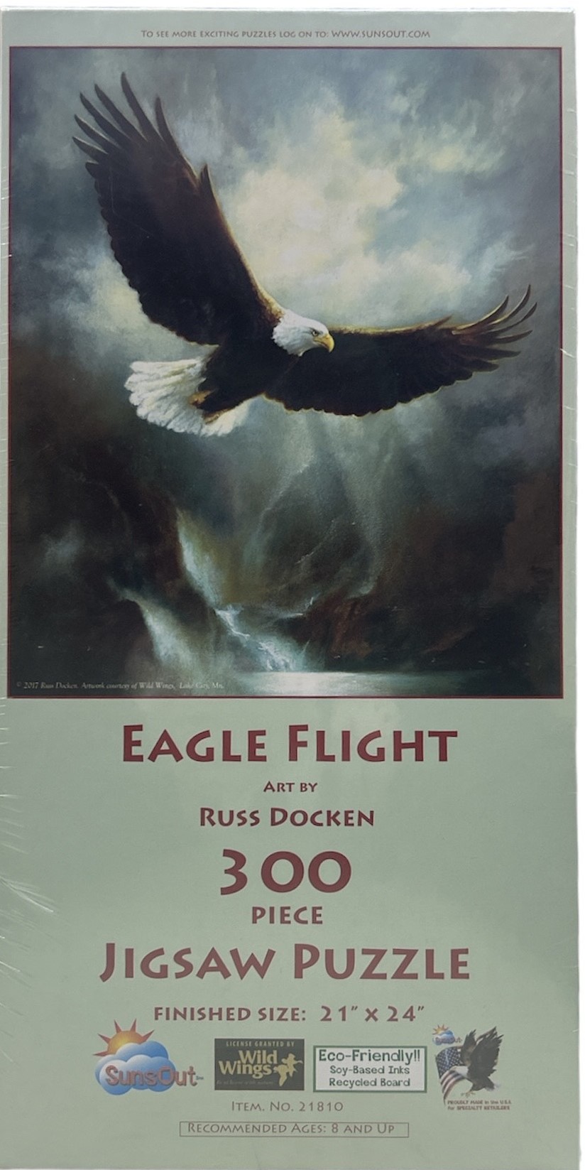 EAGLE FLIGHT 21810