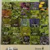 EDIBLE HERBS BACK