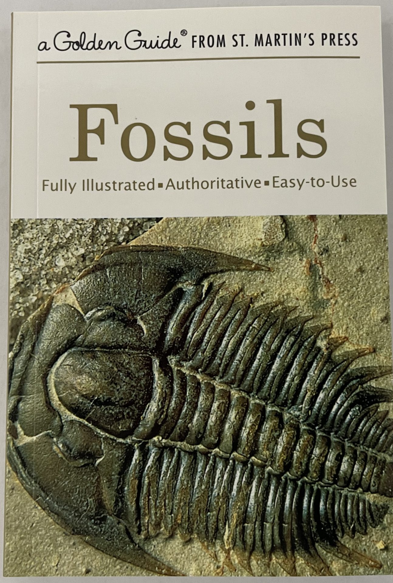 FOSSILS FRONT