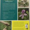 GROW YOUR OWN HERBS BACK