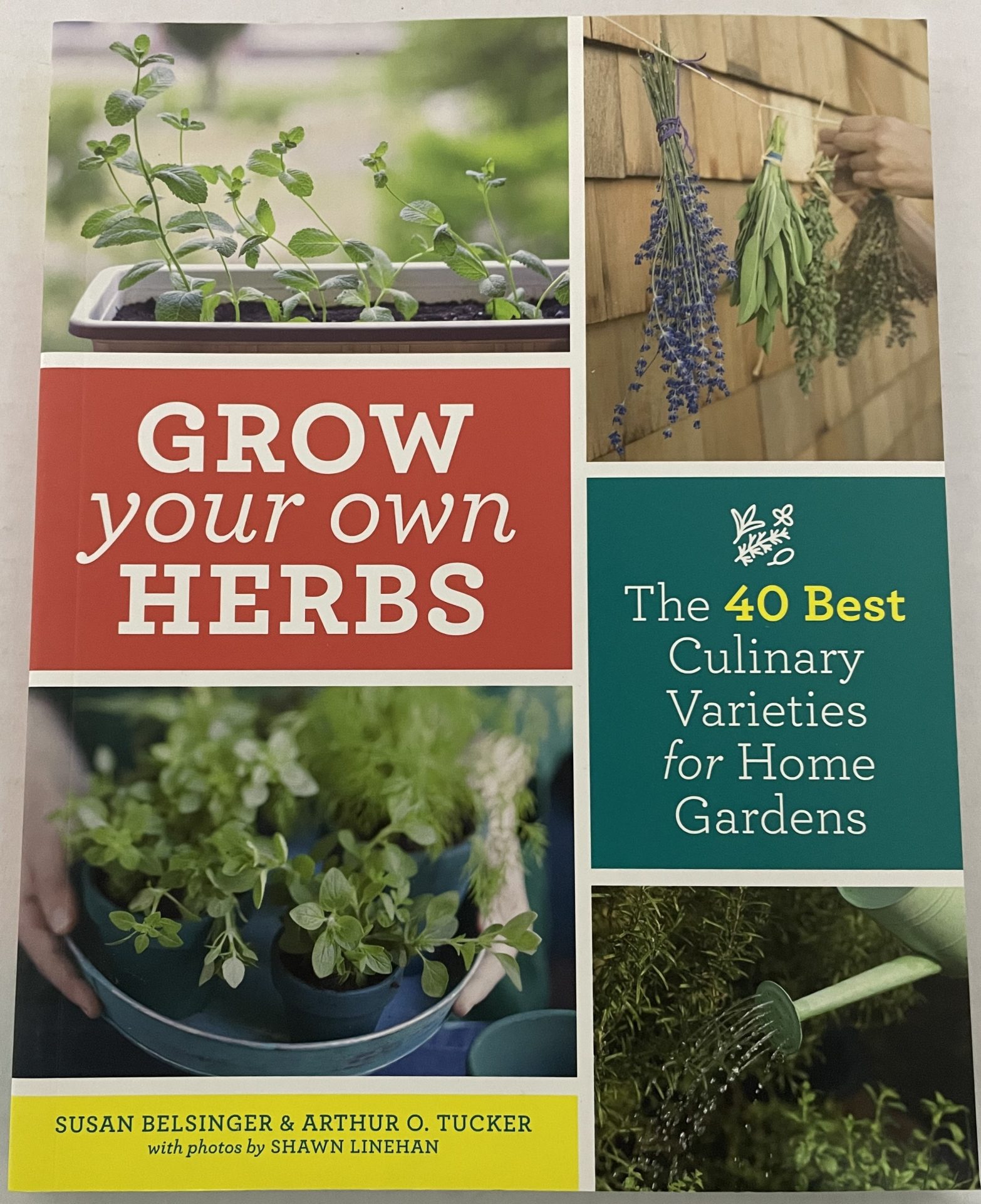 GROW YOUR OWN HERBS FRONT