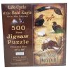 LIFE CYCLE OF A BALD EAGLE 66406