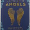 LITTLE BIT OF ANGELS FRONT