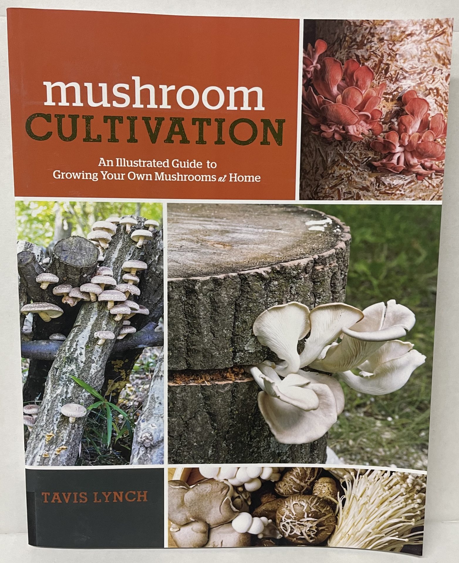 MUSHROOM CULTIVATION FRONT