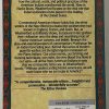 NATIVE ROOTS HOW THE INDIANS ENRICHED AMERICA BACK