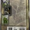 NATURES WISDOM ORACLE BACK