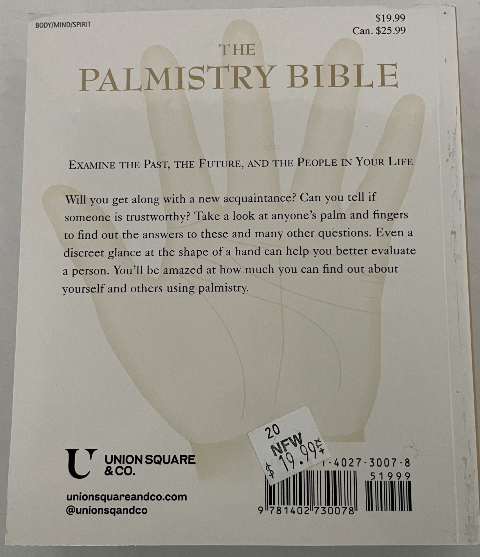 PALMISTRY BIBLE BACK