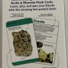 PICS, ROCK & MIN FLASH CARDS BACK