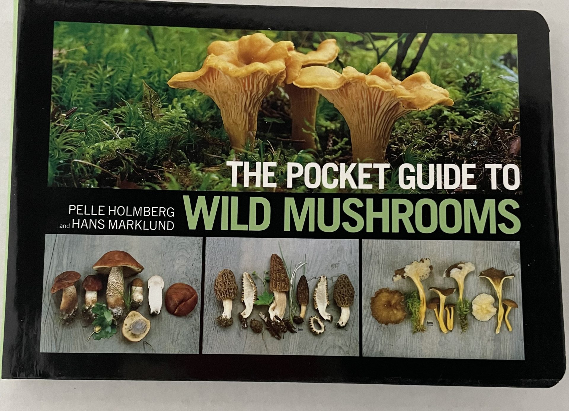 POCKET GUIDE TO WILD MUSHROOMS FRONT