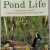 POND LIFFE FRONT