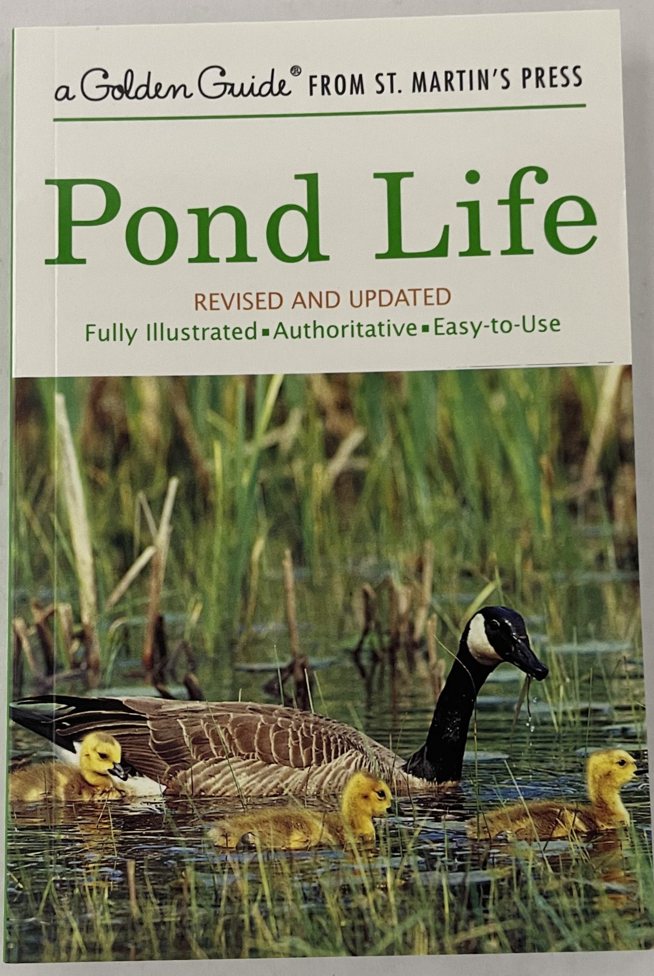 POND LIFFE FRONT