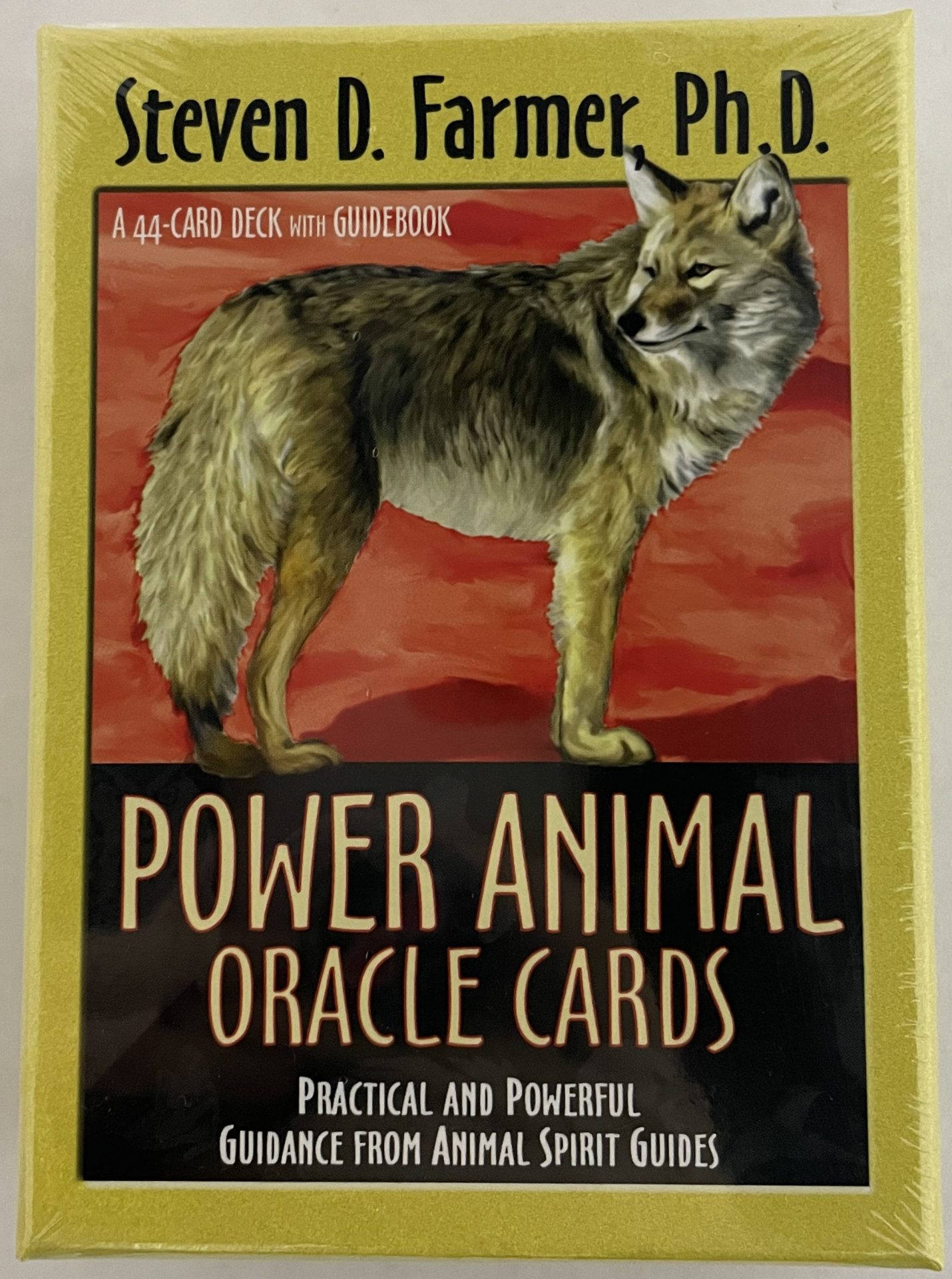 POWER ANIMALORACLE CARDS FRONT