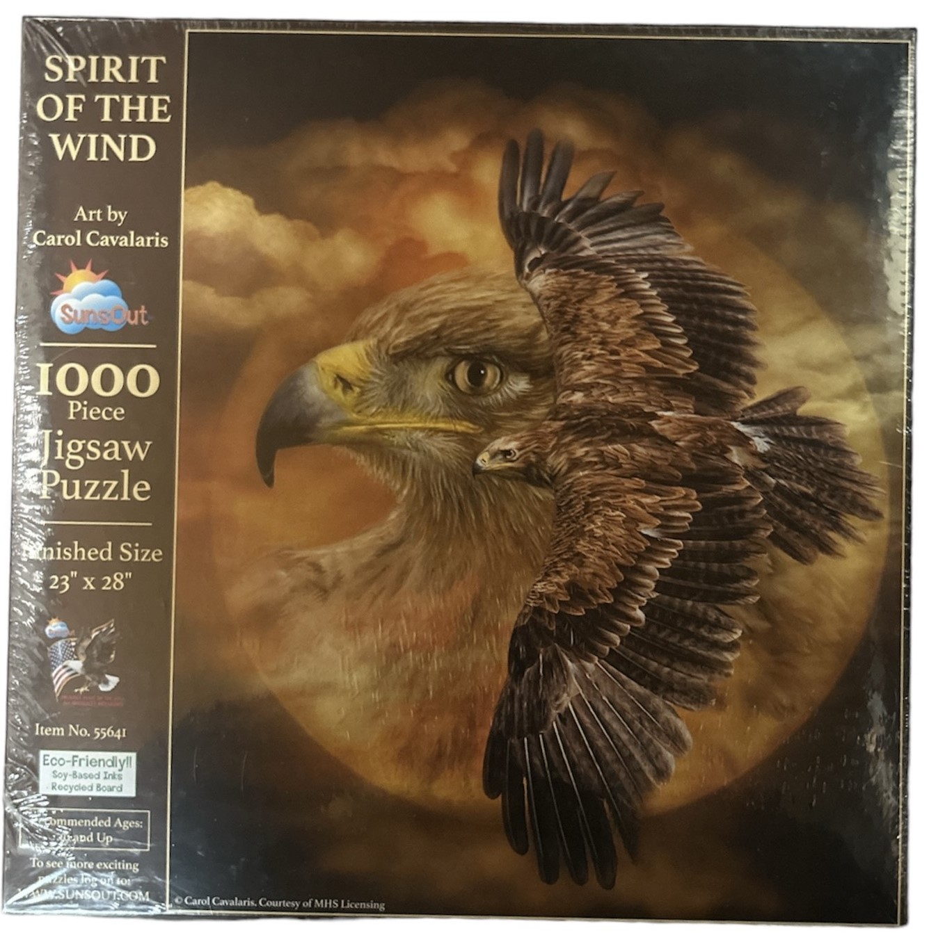 SPIRIT OF THE WIND 55641