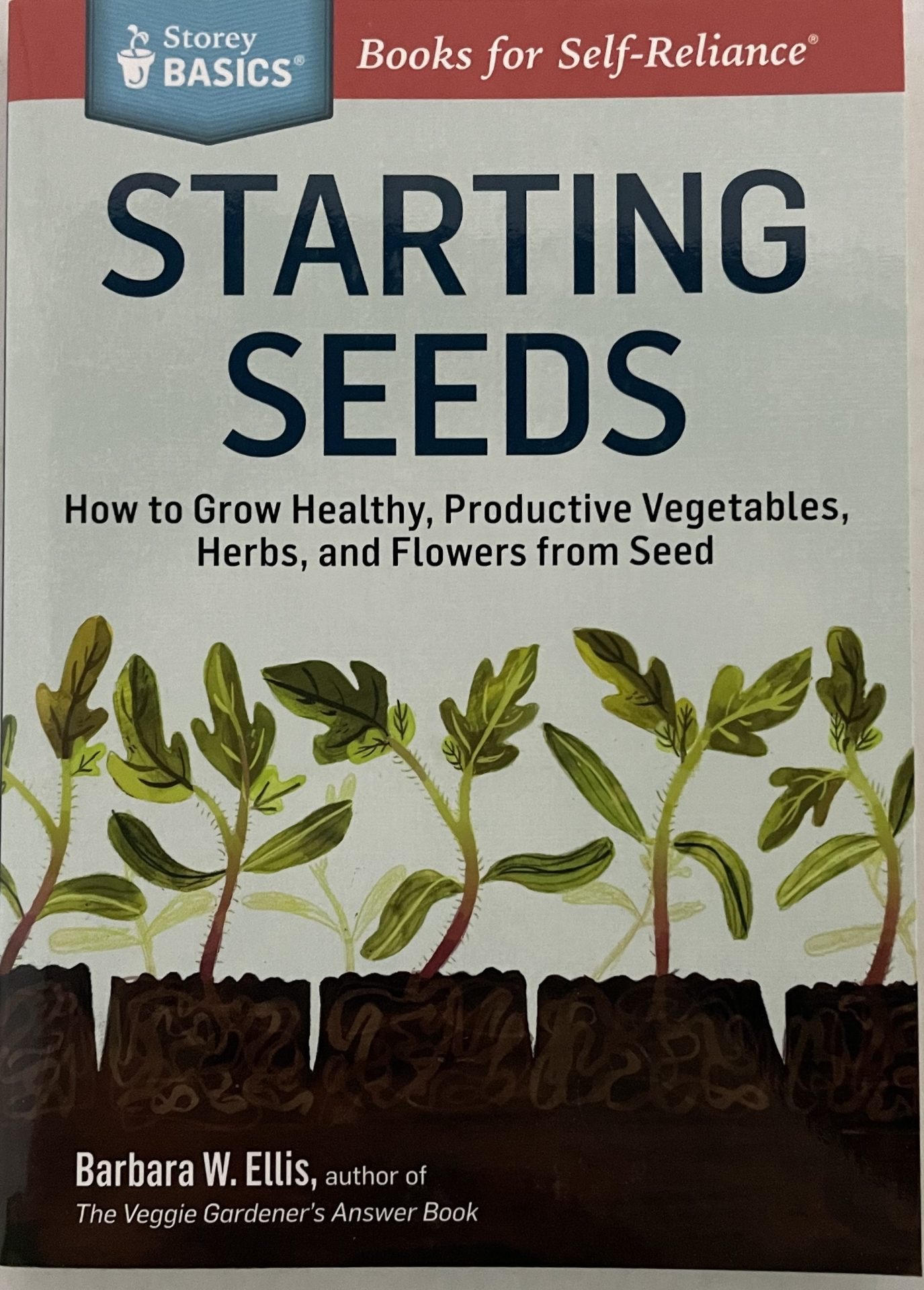 STARTING SEEDS FRONT