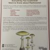 ULTIMATE GUIDE TO MUSHROOMS BACK