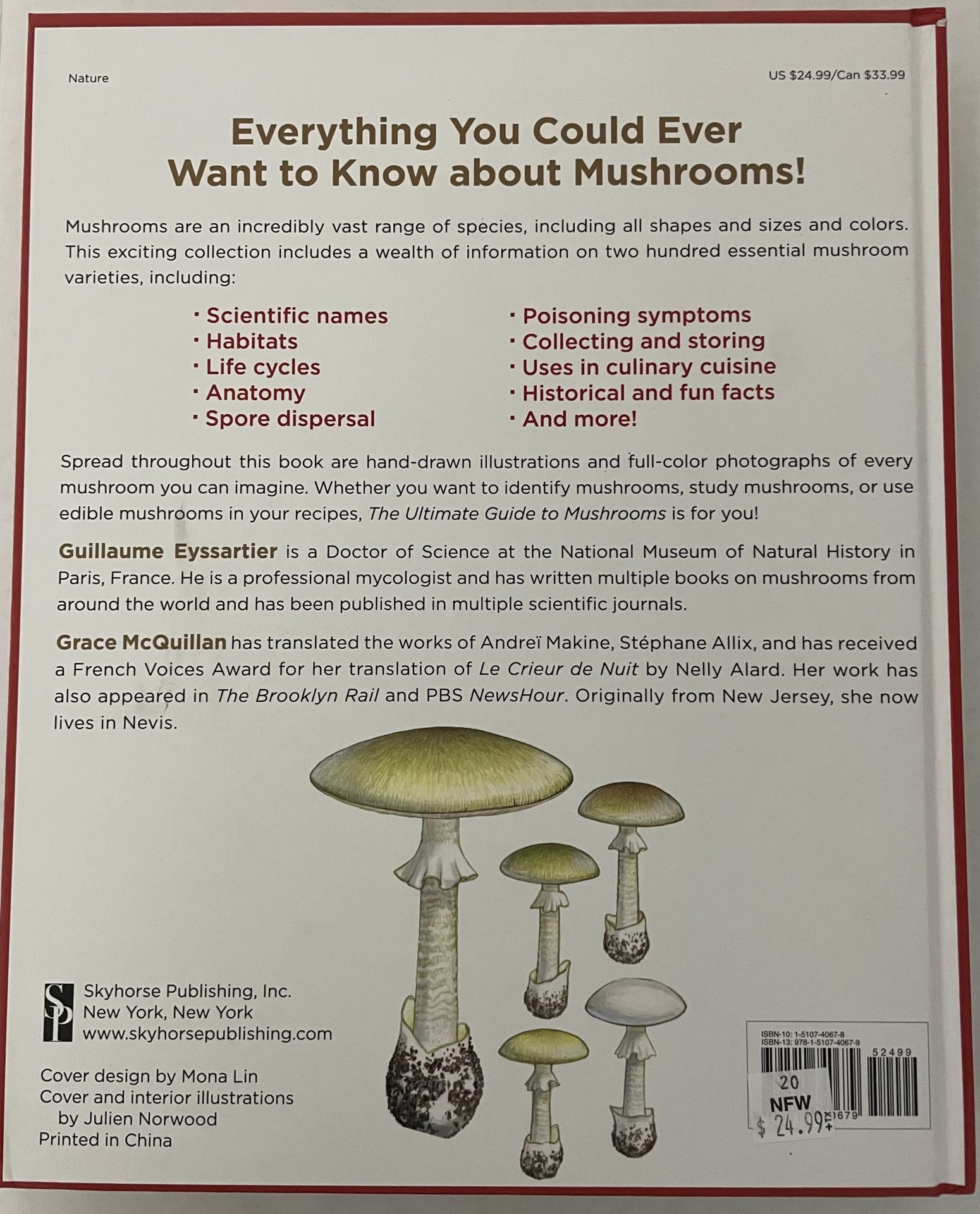 ULTIMATE GUIDE TO MUSHROOMS BACK