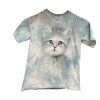 Blue Eyed Kitten – 153465