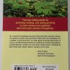 GINSENG 2ND EDITION BACK