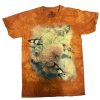 Sunflowers & Butterflies-104994