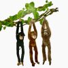 4144×5 hanging monkey natural