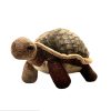 420300 tortoise