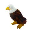 420321 bald eagle