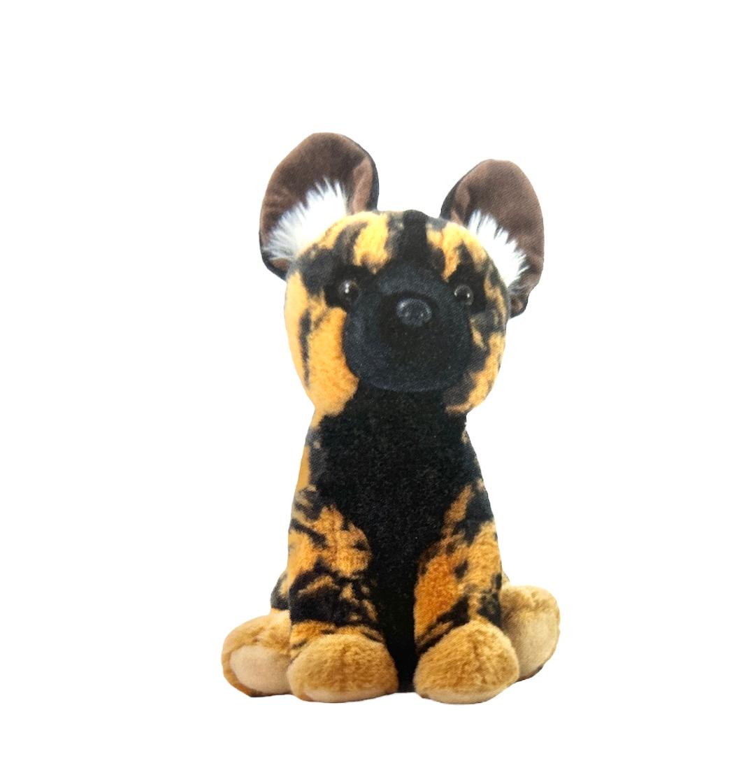 420330 african wild dog