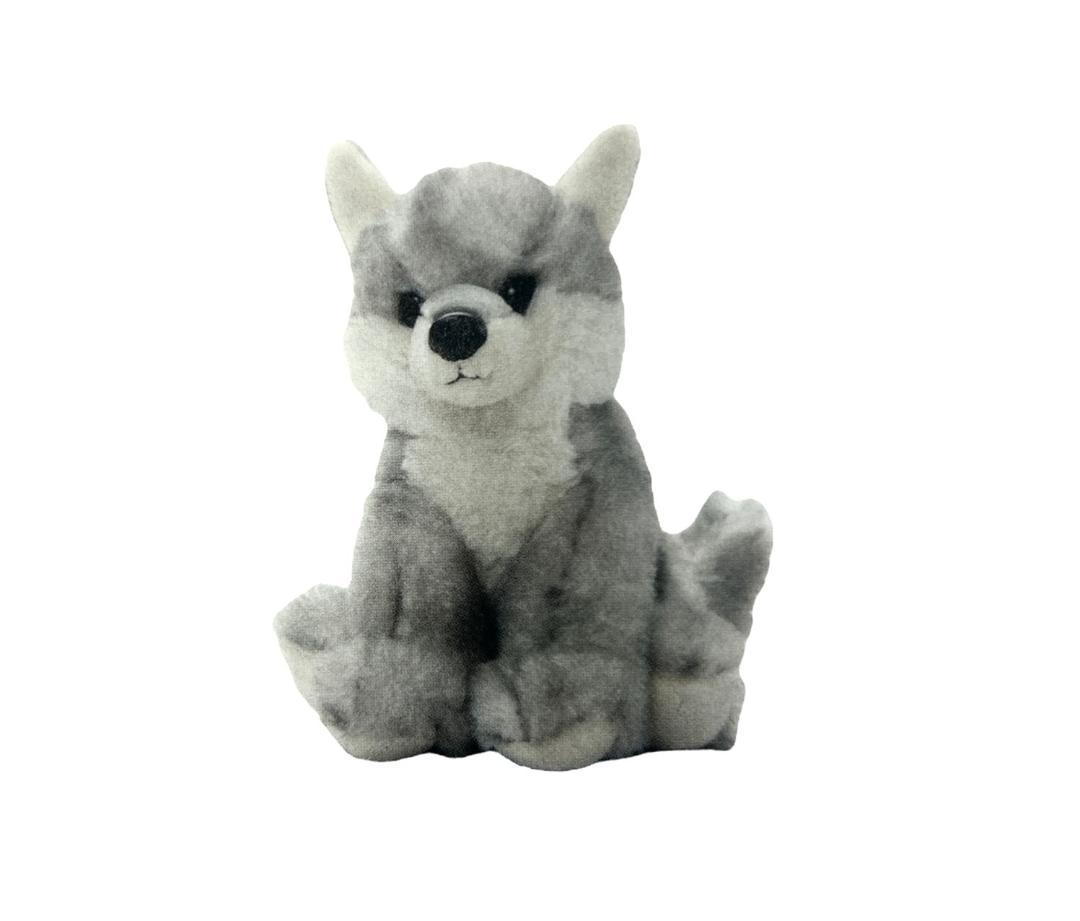 421003 grey wolf