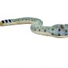 421617 diamond rattler