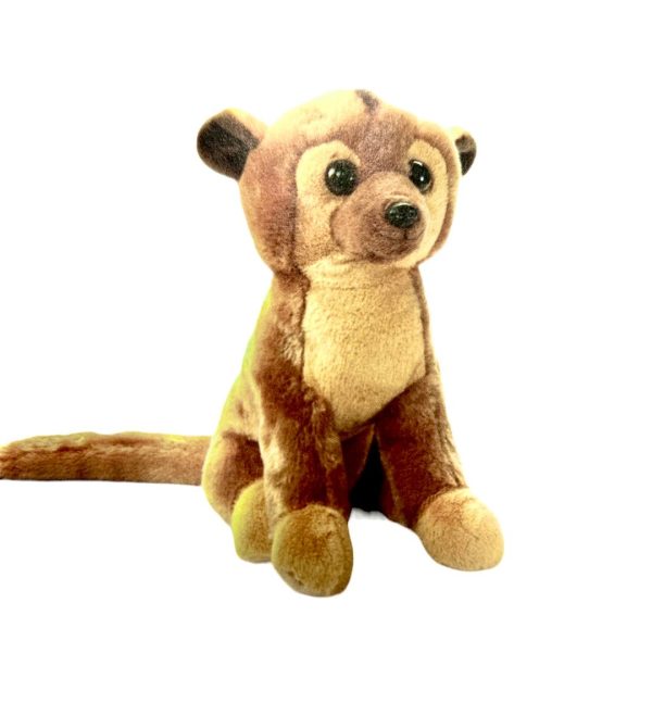 422315 kinkajou