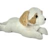 72230 havanese