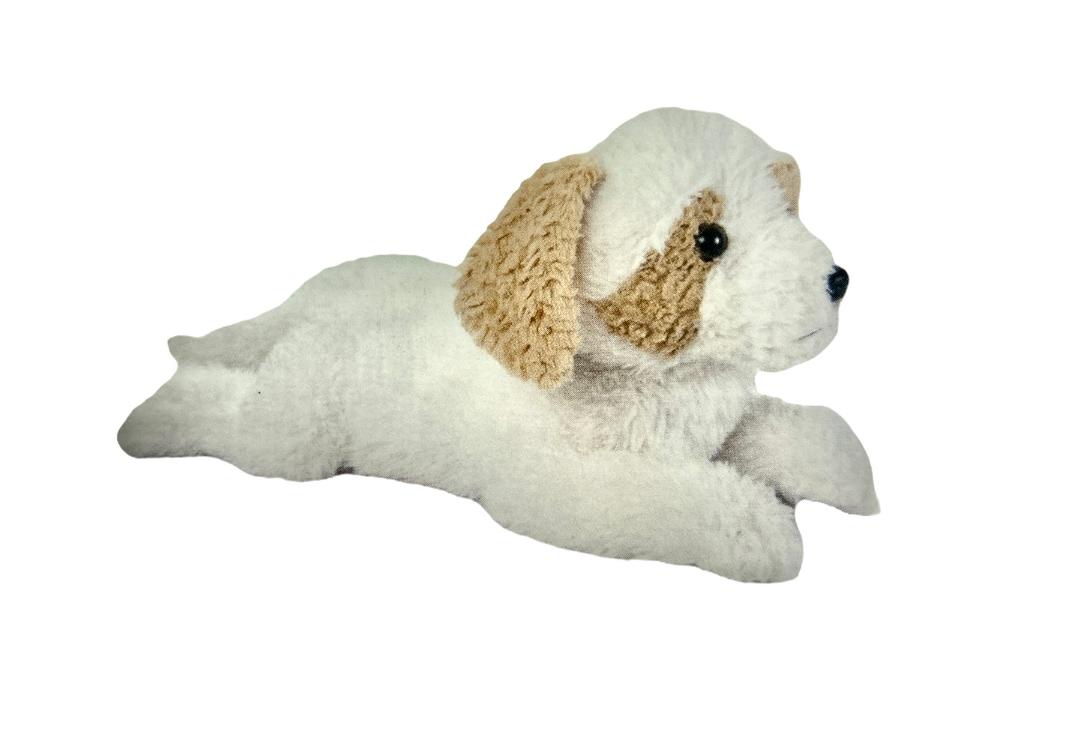 Havanese stuffed animal dog online