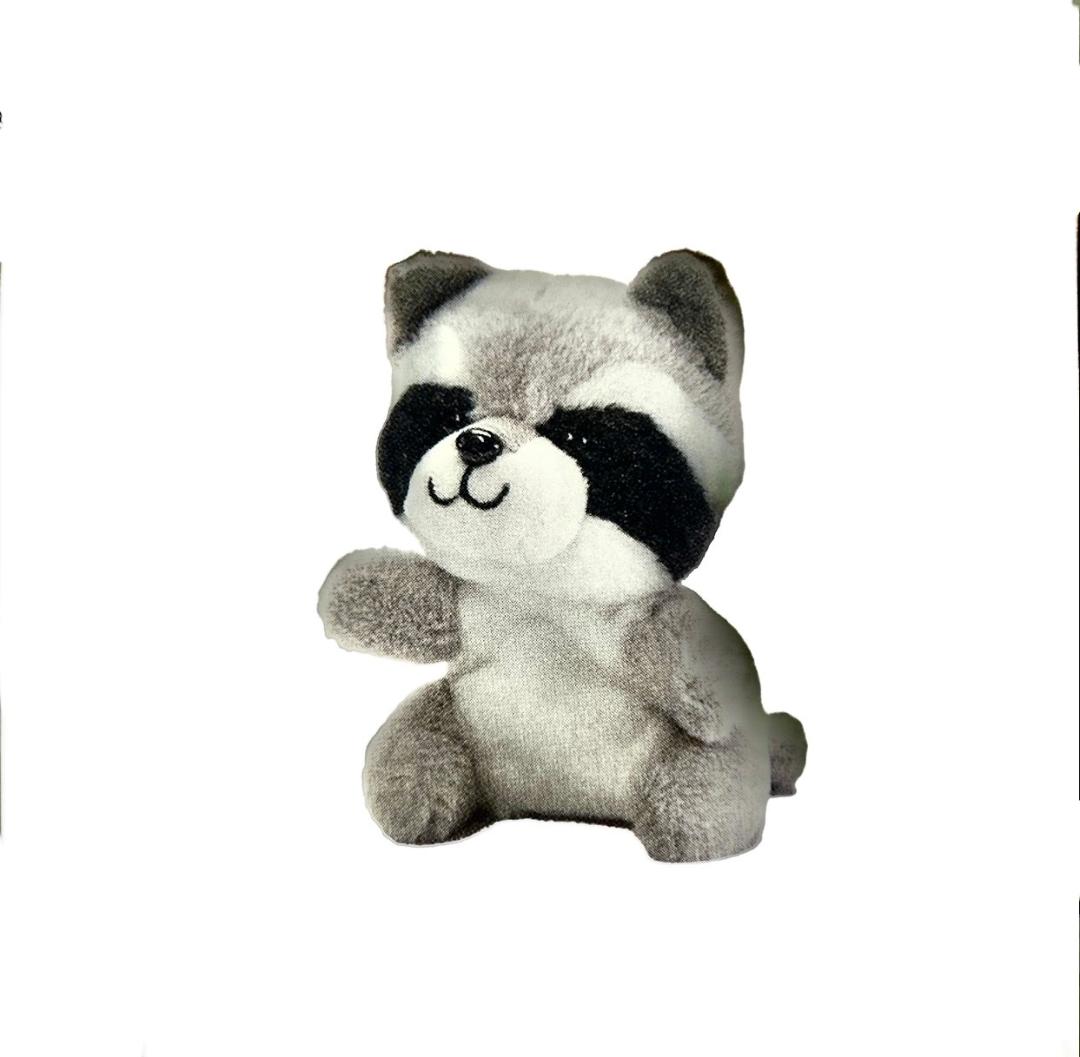 723605 raccoon