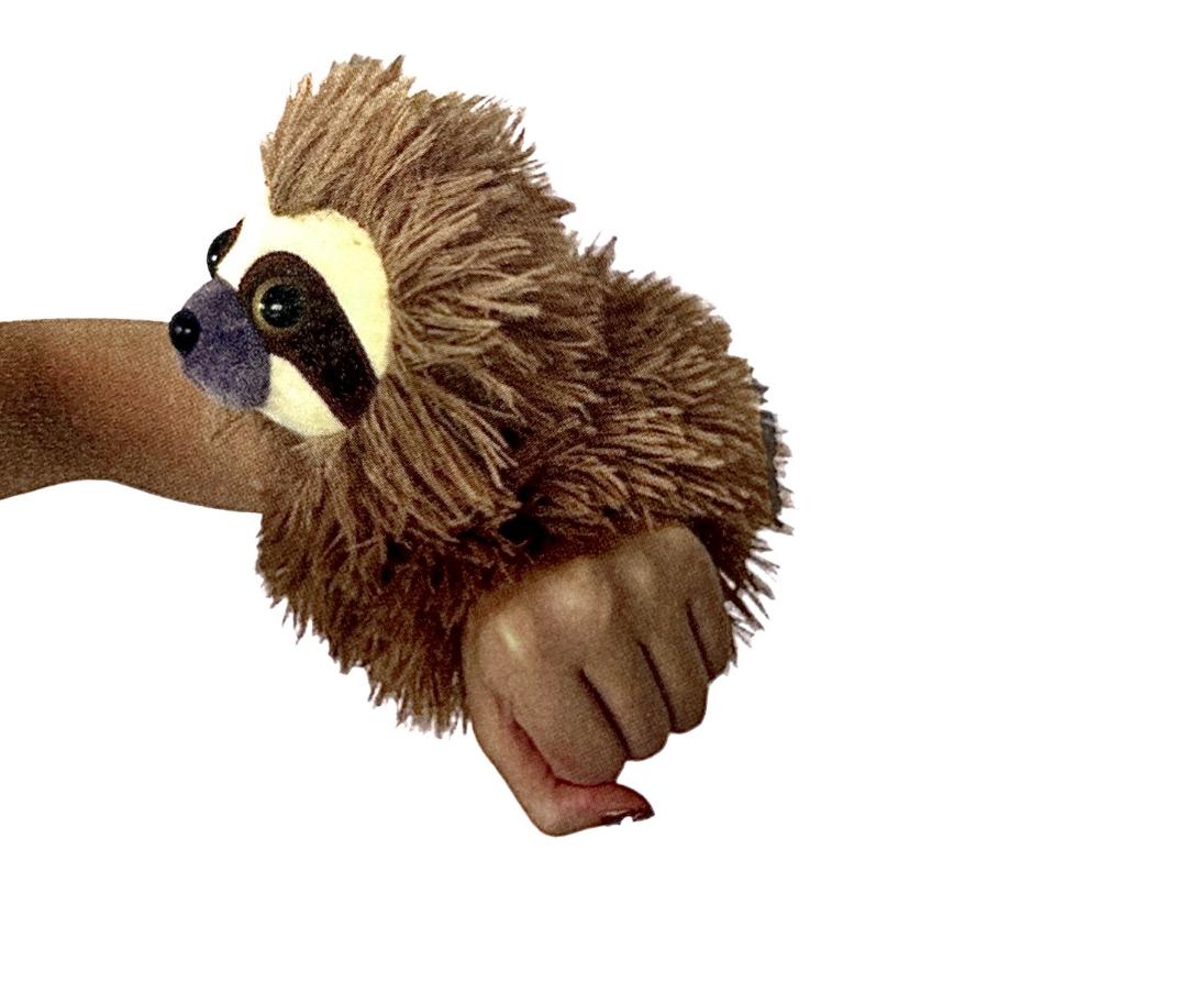 723706 sloth