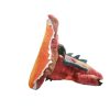 723729 red dragon