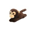 723735 brown monkey