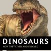DINO