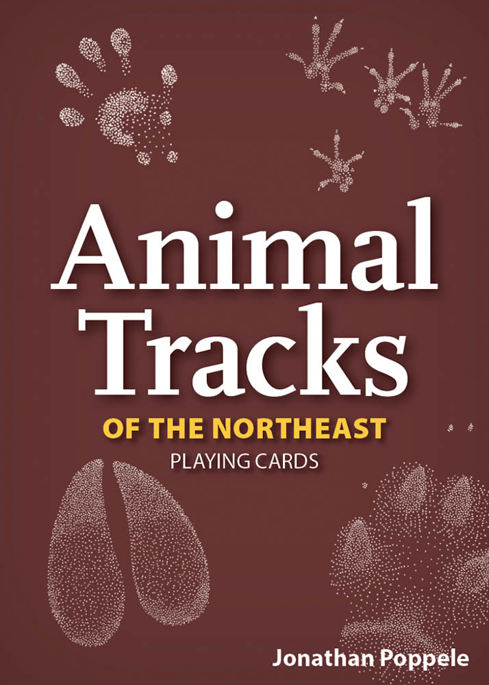 animal_tracks_of_the_northeast_playing_cards_9781647553883_FC