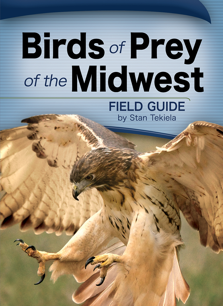 birds_of_prey_of_the_midwest_FG_9781591932475_FC